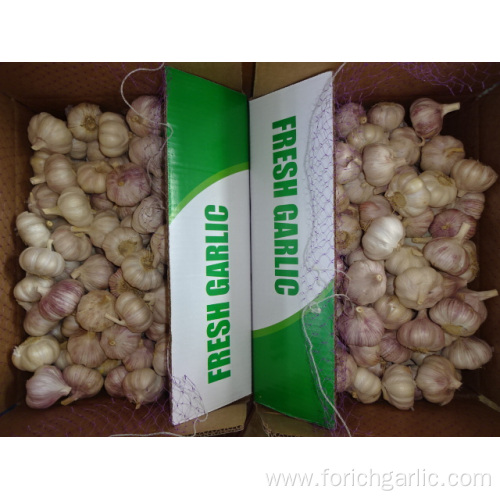 10Kg Loose Packing Normal white Garlic 2019